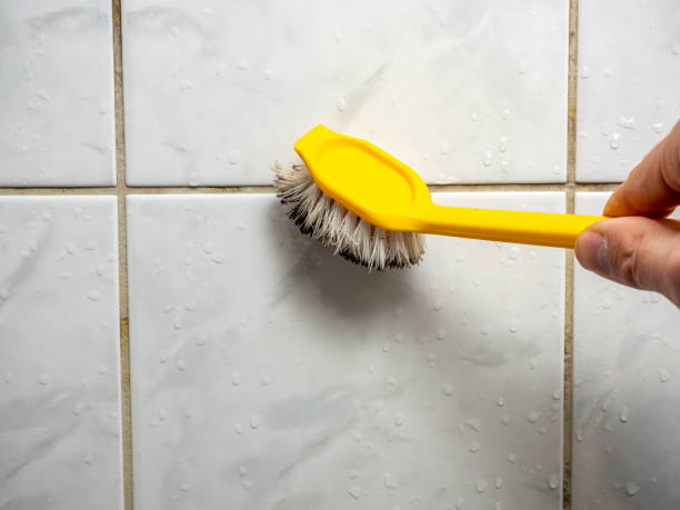 Best Mold Removal and Inspection  in London, KY