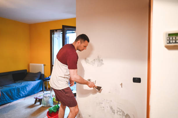 Best Local Mold Removal Service  in London, KY